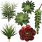 Six Pack Succulent Set, 6 Individual Picks, Natural Sized Artificial Plants, Aloe, Hanging Pearl for Arrangements, Pots, and School Projects, Floral Home by Artificial Flowers